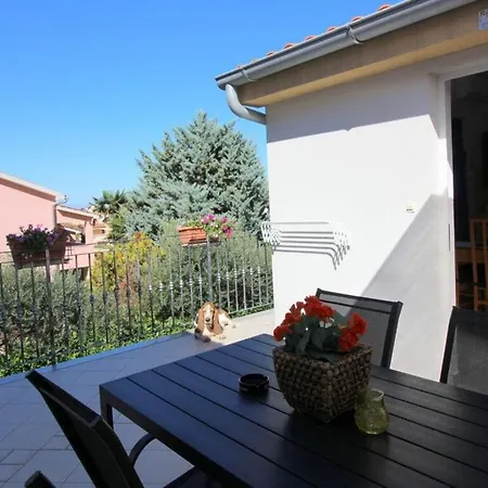 Pineta 2 Comfortable Holiday